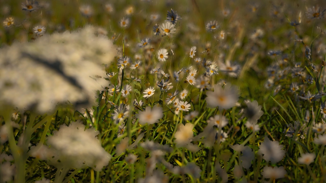 Studies on Breaking Immersion